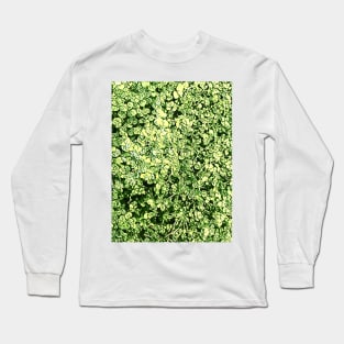 Lucky Long Sleeve T-Shirt